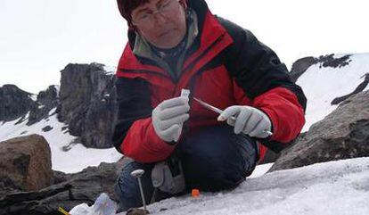 Jenny Blamey, de la Fundación Biociencia, recoge muestras en la Antártida.