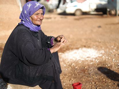 A pesar de su avanzada edad, Halima Al-Hussein, de 70 años, lucha por asegurar el alimento de sus nietos y trabaja duramente en la agricultura, seis horas al día, por lo que recibe 15 liras turcas, menos de un euro.