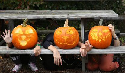 Imagen del Spooky Pumpkin Garden.