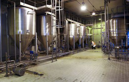 En esta sala de la fábrica de Mahou se identifican las levaduras que arrancarán la fermentación del mosto.
