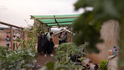 Kinawataka, un pequeño huerto urbano en uno de los asentamientos informales de Kampala llamadas zonas K o zonas gueto.