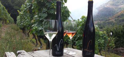 Vitheras ha creado dos variedades de vino: un blanco, por el que ha obtenido varios premios, y un rosado bautizado Luc&iacute;a.