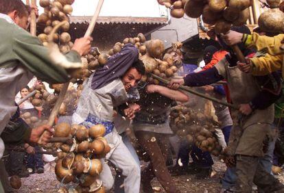Fiesta de Peropalo en Villanueva de la Vera (Cáceres).