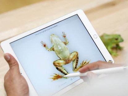 El nuevo iPad será muy difícil de reparar, así son sus entrañas en vídeo