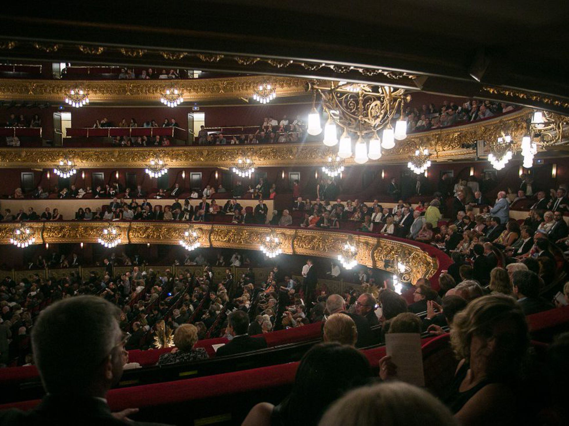 El Rey León, El tributo - Teatre Apolo de Barcelona