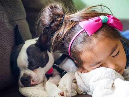 Una niña duerme junto a un perro en un sofá.