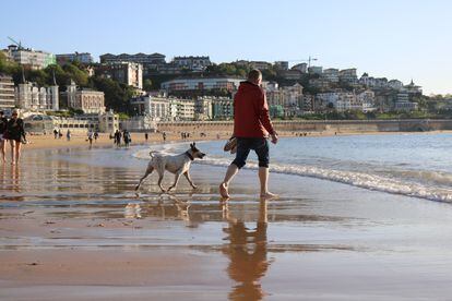 'Futt', Mercè Jiménez's dog companion, on La Concha beach, in San Sebastián, during one of his trips.