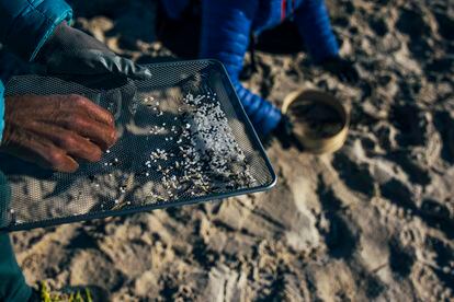 Pellets de plástico que han sido separados de la arena durante una limpieza llevada a cabo por voluntarios, este domingo en la playa de Area Maior, en Muros (A Coruña). 