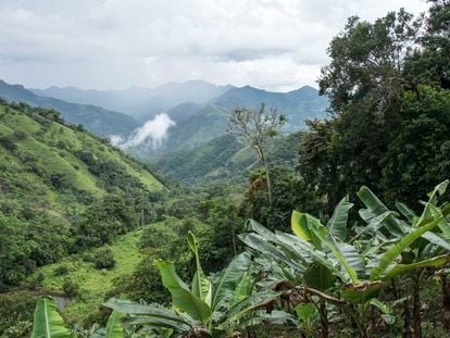 Vista panorámica de un valle en Boyacá (Colombia).