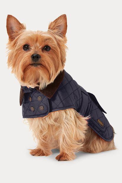 Detalle de uno de los abrigos de Ralph Lauren, que traslada el famoso estilo preppy estadounidense de la marca al universo canino. ¿Cuál será la siguiente firma en sumarse al boom de las líneas para mascotas? Y, sobre todo, ¿llegará el turno de los gatos?