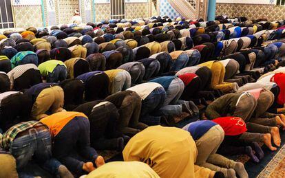 Rezos de musulmanes en Rotterdam.