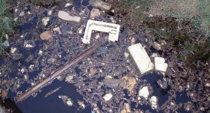Imagen del agua contaminada en la zona recreativa de Catral.