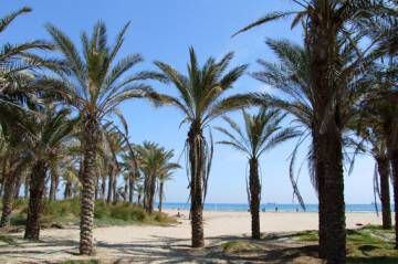 Playa del Pinar, en Castellón.