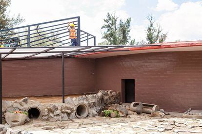 El zoológico de San Juan de Aragón tiene un área llamada 'Antiguo zoológico' que se encuentra en remodelación pero los animales siguen allí, en condiciones dañinas para su salud o integridad.