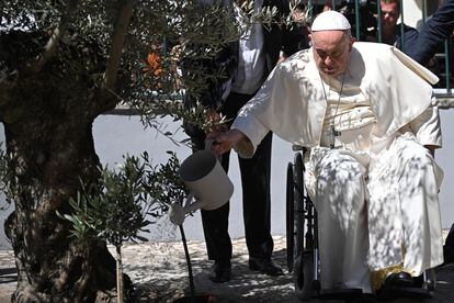 The Pope waters an olive tree during his visit to Cascais, as part of the World Youth Day in Lisbon.