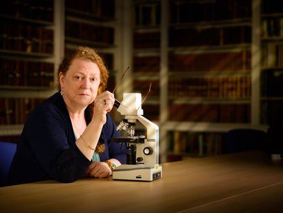 Forensic anthropologist Sue Black.