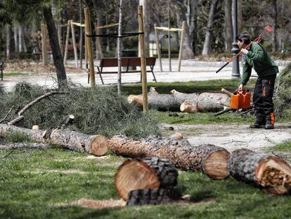 Restos de árboles cortados esta semana en El Retiro.