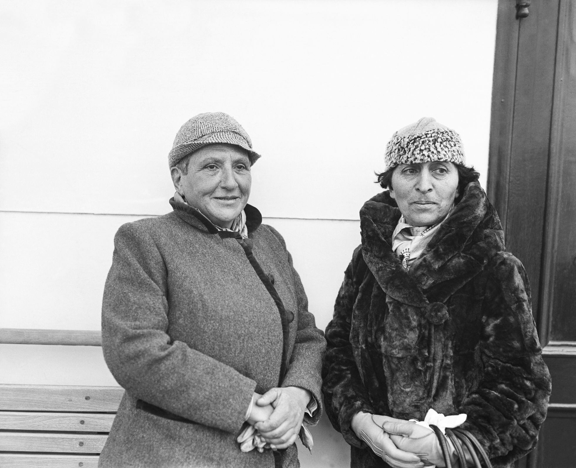 janet malcolm gertrude stein