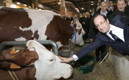 El presidente francés, François Hollande, acaricia una vaca el pasado sábado, durante la 50º Feria de Agricultura de París.