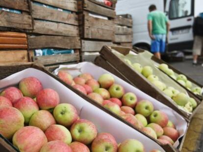 Vista de un cargamento de manzanas en el Mercado Agro-Alimentario de Bronisze, cerca de Varsovia (Polonia).