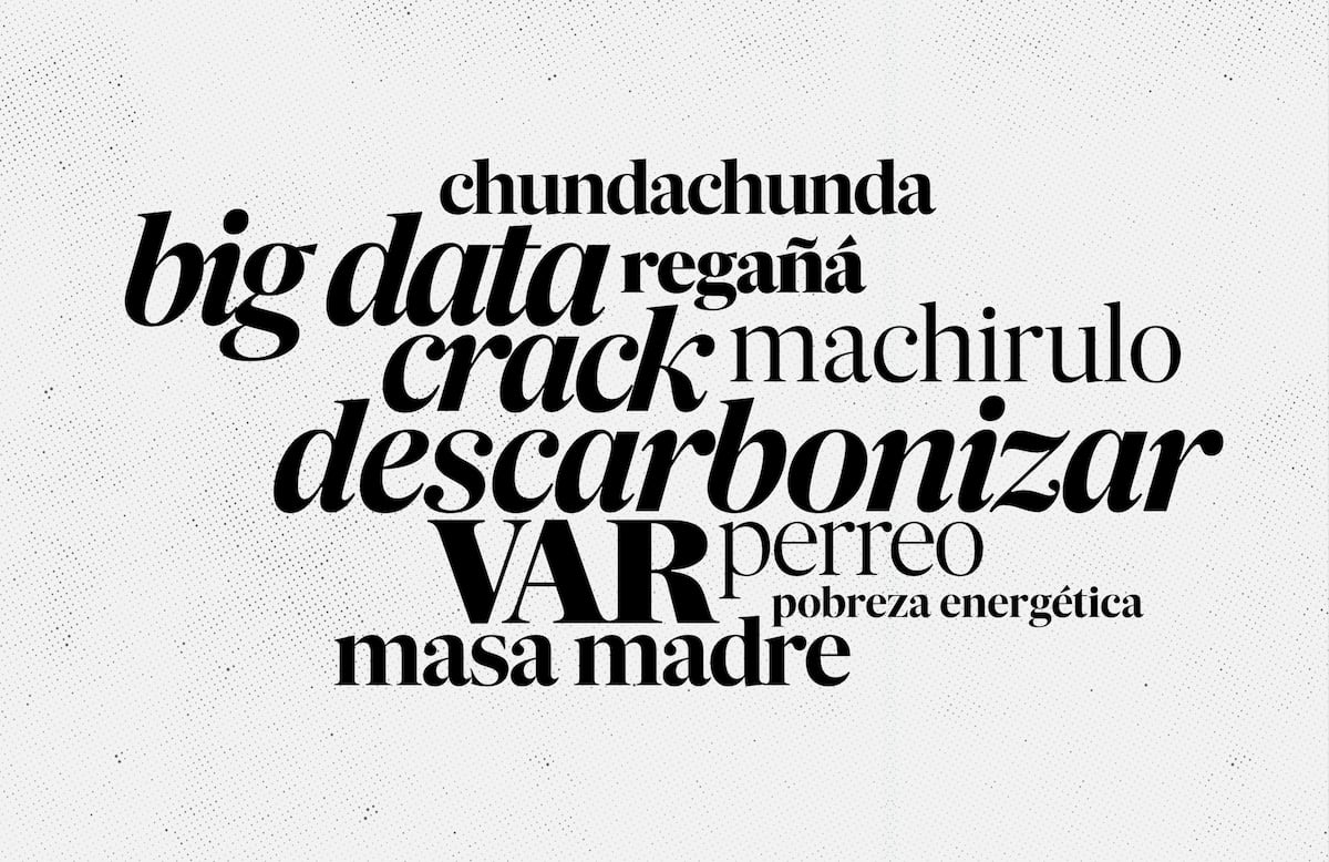 La RAE sumó este año 4.381 nuevas palabras : Pura Data