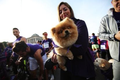 Más de 3.500 perros con sus dueños han participado en Madrid en la carrera solidaria Perrotón 2016.