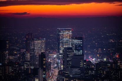 Tokio vista de noche desde el observatorio de las colinas de  Roppongi en noviembre de 2021.
