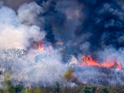 Incendio activo en el municipio de Deleitosa (Cáceres), donde el fuego ha arrasado ya unas 3.000 hectáreas.