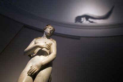 En primer plano, la escultura 'Venus del delfín', del taller romano; sobre ella, en el techo, la sombra que proyecta el esqueleto de delfín instalado por Miguel Ángel Blanco en el Museo del Prado, dentro del proyecto 'Historias Naturales'.
