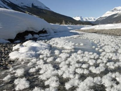 Flores de hielo en un un arroyo helado de Graveyard Flats, un valle de las Monta&ntilde;as canadienses.