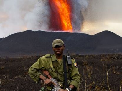 Una imagen de &#039;Virunga&#039;, documental producido por Leonardo DiCaprio, que figura en la secci&oacute;n oficial de DocumentaMadrid, fuera de concurso.