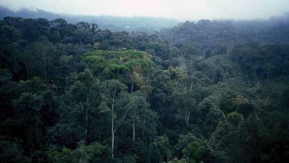 Parte de la sierra de Mayombe, que se extiende por República Democrática del Congo, Gabón y Angola.
