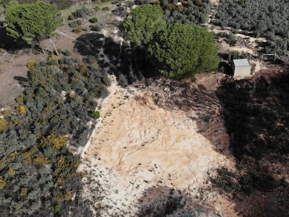 Balsa ahora reseca para robar agua en Lucena del Puerto, cercana a Doñana, la semana pasada.