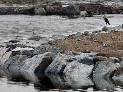 Delta del río Besós, en la provincia de Barcelona.