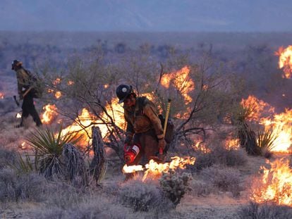 Bombero combatiendo el incendio de York el cual ha arrasado más de 30.000 hectáreas de la Reserva Nacional Mojave.