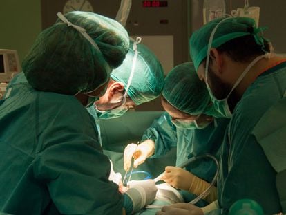 Un equipo médico realiza un trasplante, en una imagen de archivo.