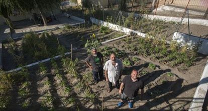 Responsables de un huerto urbano en el Pol&iacute;gono de El Valle de Ja&eacute;n.