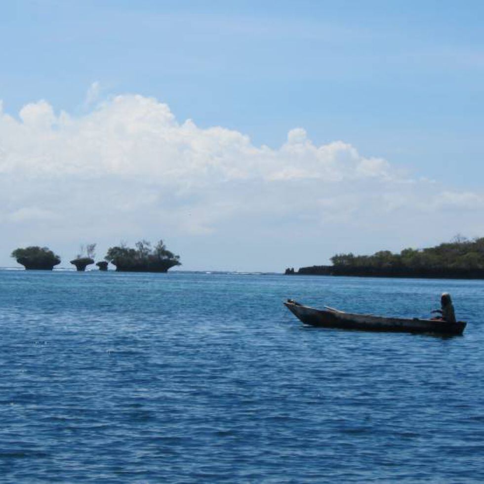 La pesca submarina y los daños producidos en los corales - isauki