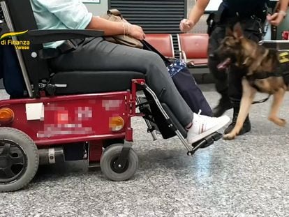 Vídeo | Un perro antidroga localiza ocho kilos de cocaína ocultos en una silla de ruedas