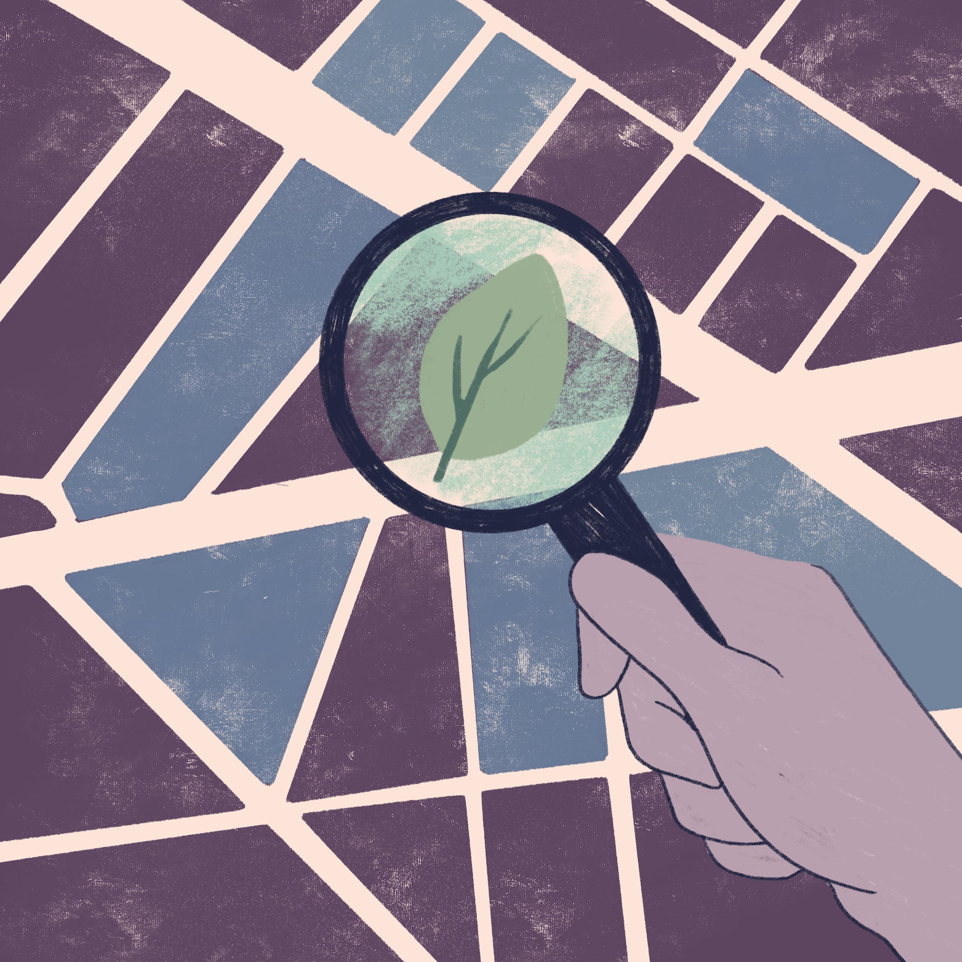 How to recycle in Latin America do you know where your garbage ends up