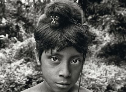 Un cachorro de mono, capturado y domesticado por los awá, yace sobre la cabeza del joven Yahara. Los awá forman una de las comunidades más amenazadas del planeta debido a la deforestación descontrolada del Amazonas brasileño.