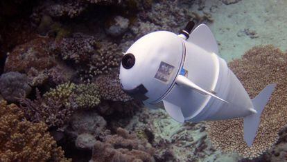 El pez robot 'SoFi' nada entre los corales de las Islas Fiji, en una foto de 2015 cedida por el MIT.