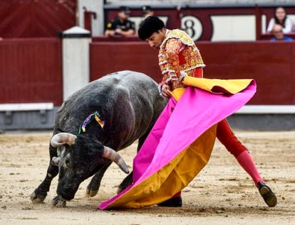 Se buscan toros bravos | Cultura | EL PAÍS