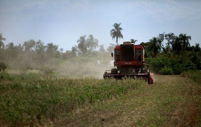 Una cosechadora de soja trabaja sobre un campo en Santa Rita (Paraguay), en una fotografía de archivo.