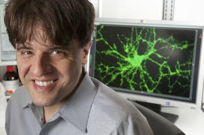El neurocientífico Karl Deisseroth de la Universidad de Stanford.