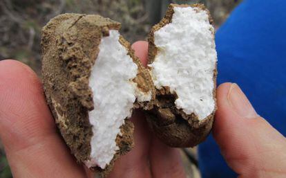 Piedra de calcita con un núcleo de poliestireno, hallada en el barranco.