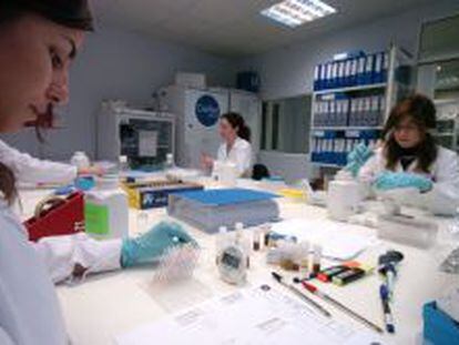 Empleadas en el laboratorio de la compa&ntilde;&iacute;a Certest Biotec.