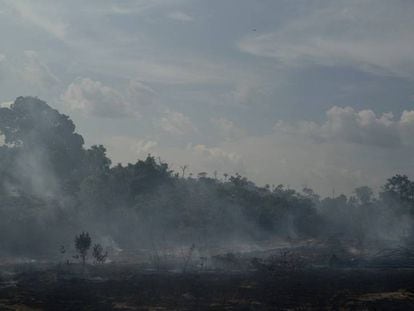 En foto, el humo tras el incendio este martes en el Amazonia brasileña cerca de la reserva indígena Bau. En vídeo, Jair Bolsonaro explica que su problema es Macron, no el G7.