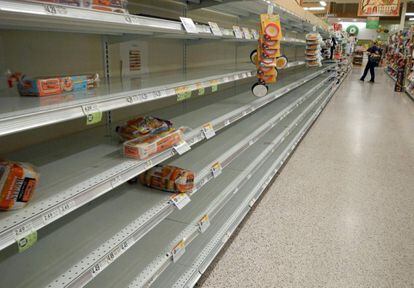 Clientes de un supermercado local buscan entre las últimas existencias de pan, en Titusville, Florida. 