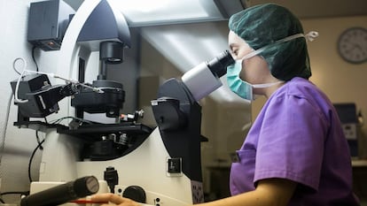 Una bióloga observa un embrión por el microscopio en el laboratorio médico del Instituto Cefer de Barcelona, clínica especializada en reproducción asistida.